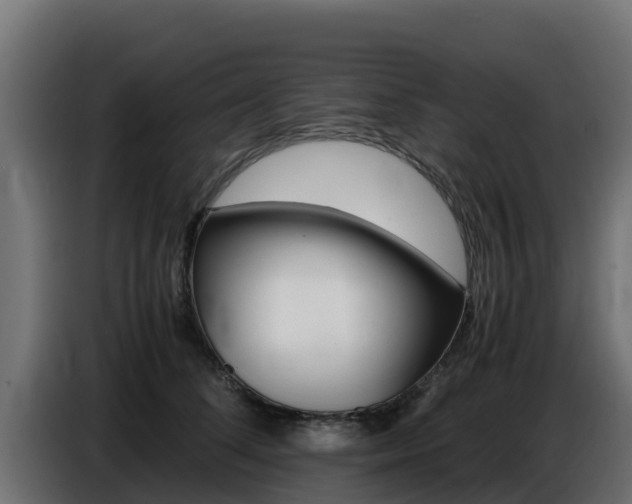 X0000086770708200704130836