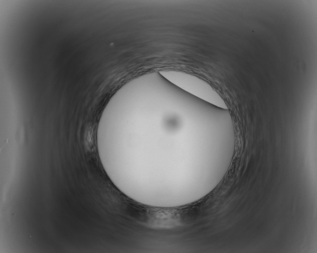 X0000086770709200704130836