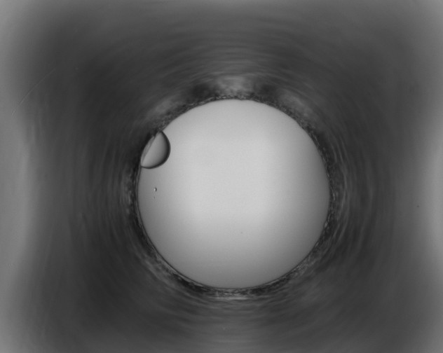 X0000086770710200704130836