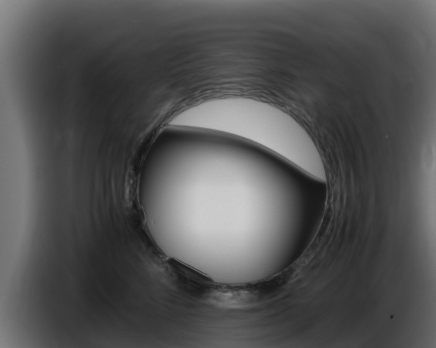 X0000086770712200704130836