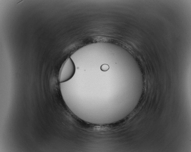 X0000086770714200704130836