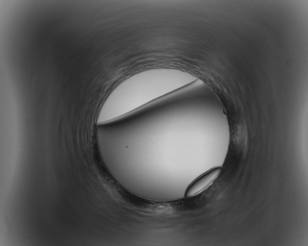 X0000086770715200704130836