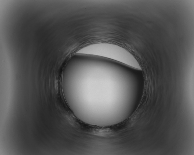 X0000086770716200704130836