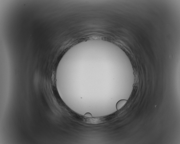 X0000086770717200704130836