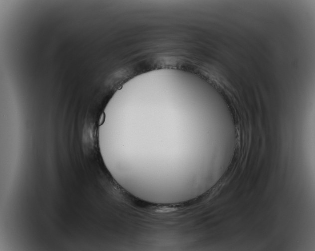 X0000086770718200704130836