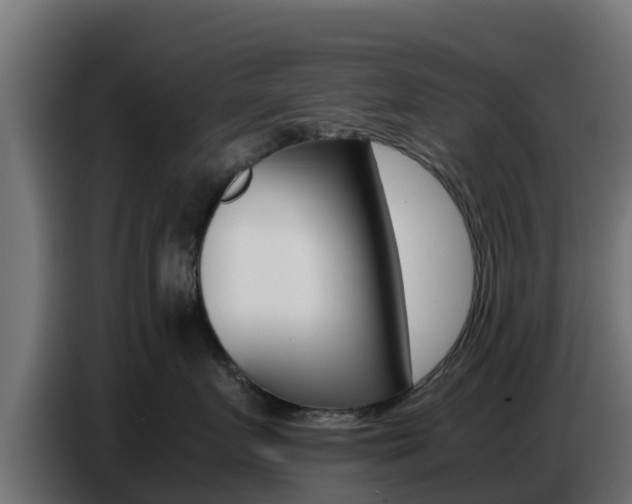 X0000086770719200704130836