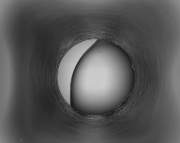 X0000086770720200704130836