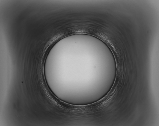 X0000086770721200704130835