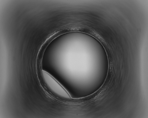 X0000086770722200704130835