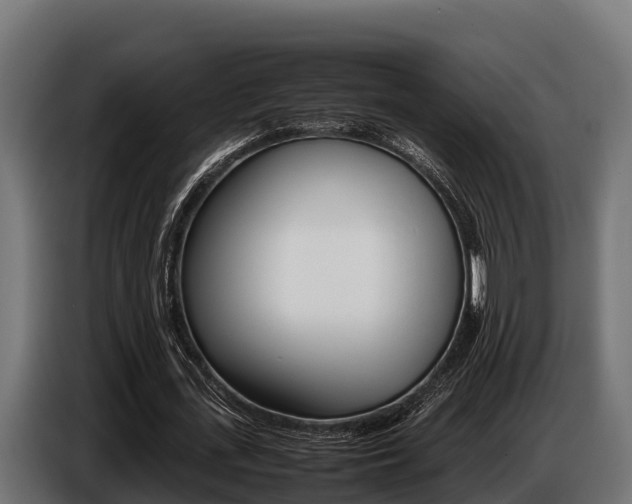 X0000086770723200704130835