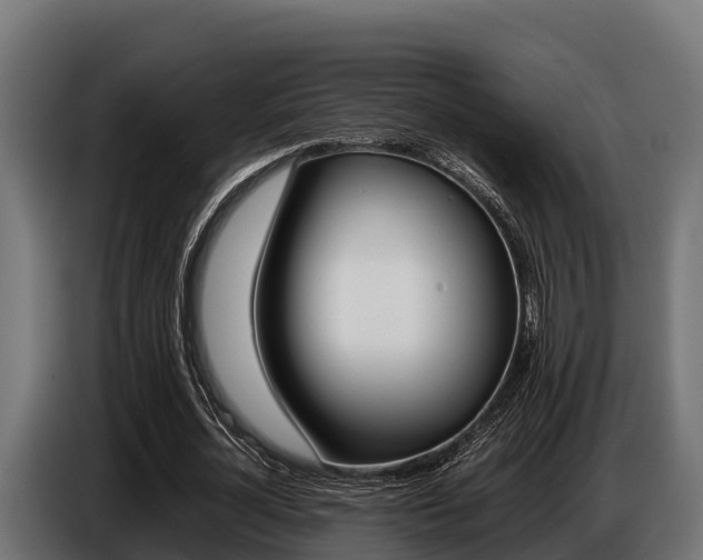 X0000086770724200704130835