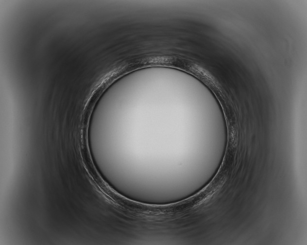 X0000086770725200704130835