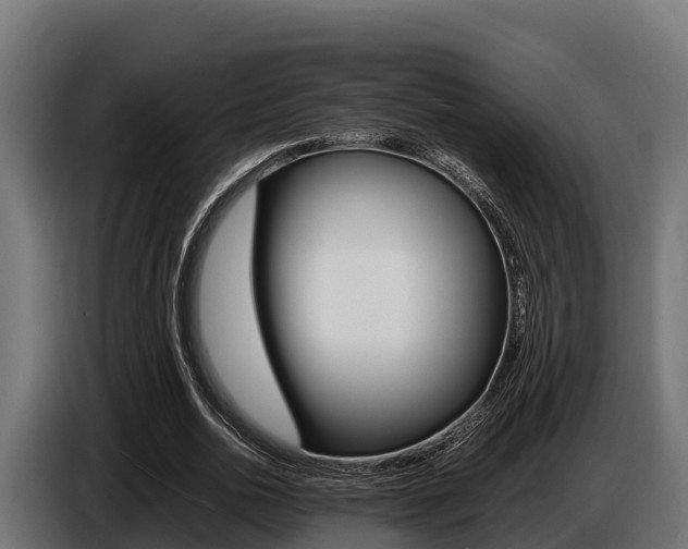 X0000086770726200704130835