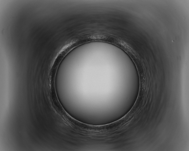 X0000086770727200704130835