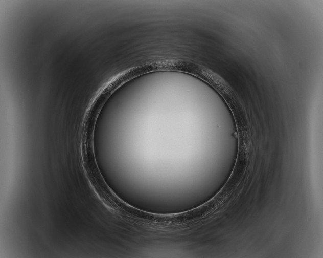 X0000086770728200704130836