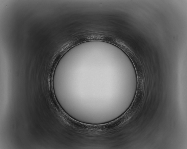X0000086770729200704130836