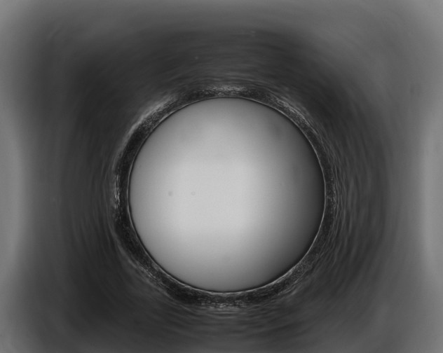 X0000086770731200704130836