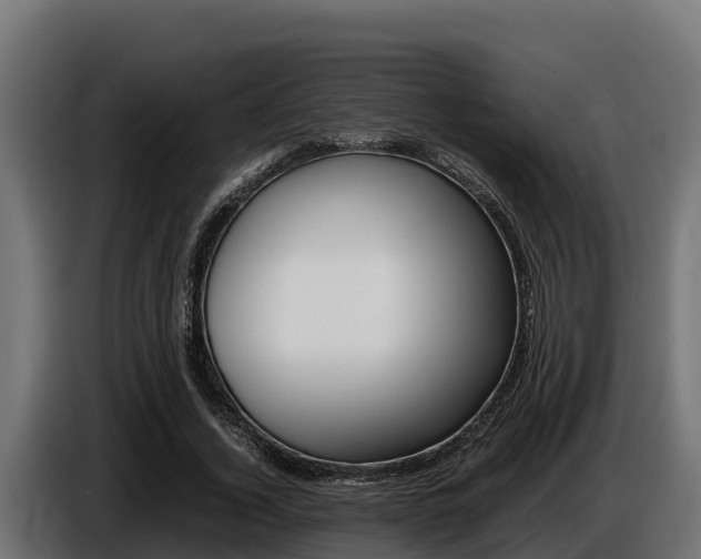 X0000086770732200704130836