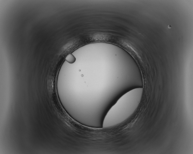 X0000086770733200704130836