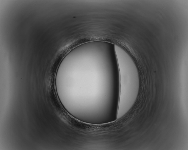X0000086770736200704130836