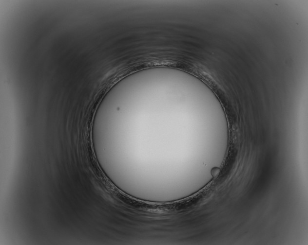 X0000086770741200704130836
