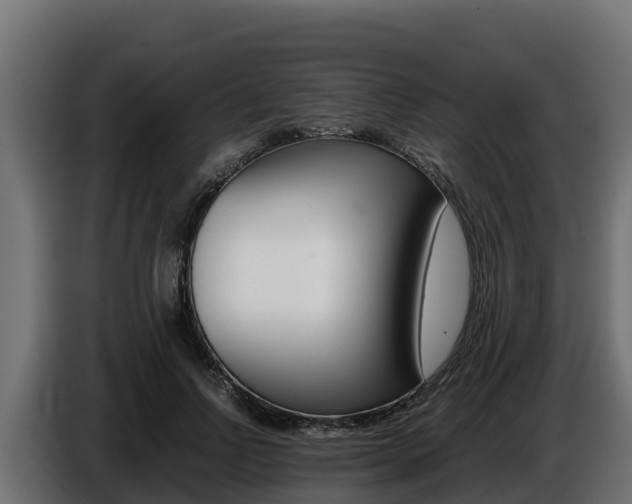 X0000086770742200704130836