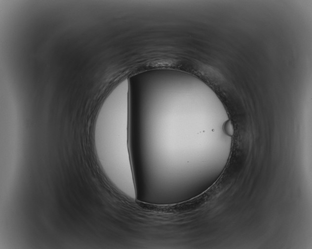 X0000086770743200704130836
