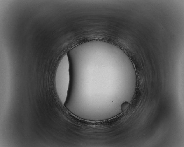 X0000086770745200704130836