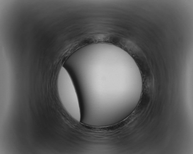 X0000086770746200704130836