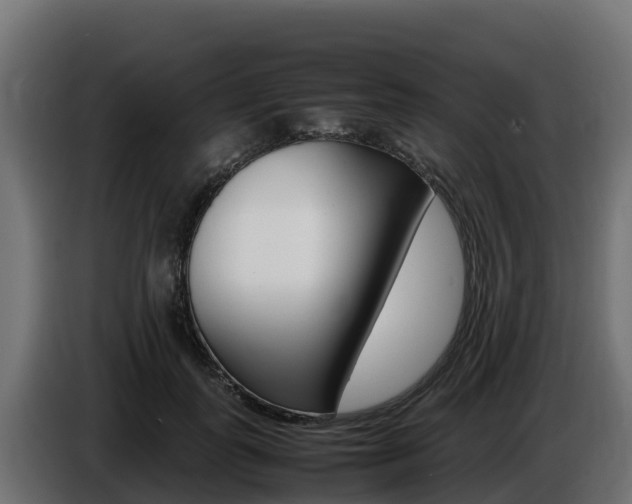 X0000086770747200704130836