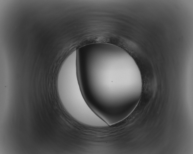 X0000086770748200704130836