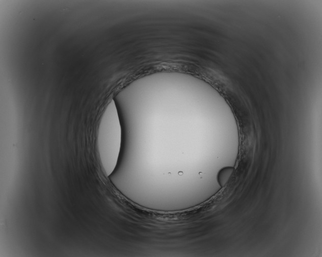 X0000086770749200704130836