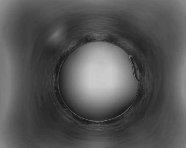 X0000086770752200704130836