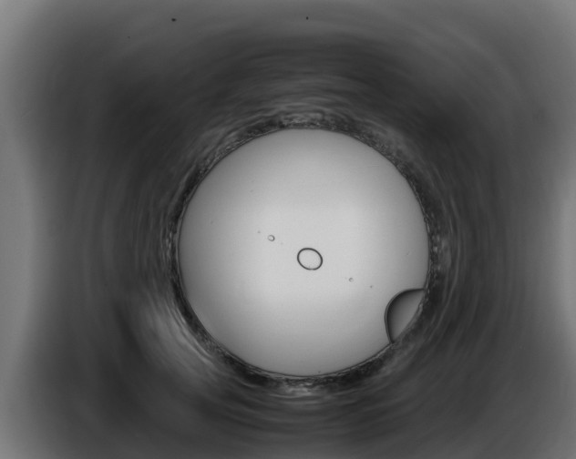 X0000086770753200704130836