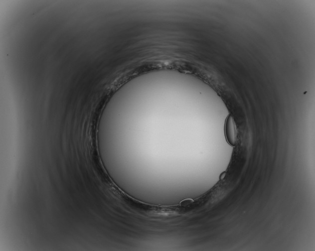 X0000086770754200704130836