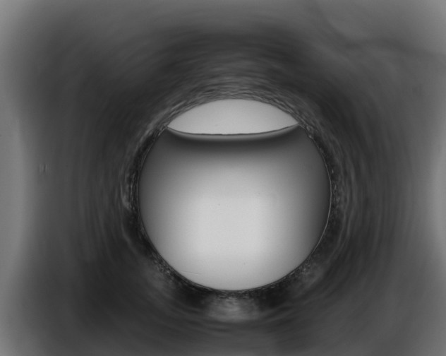 X0000086770755200704130836