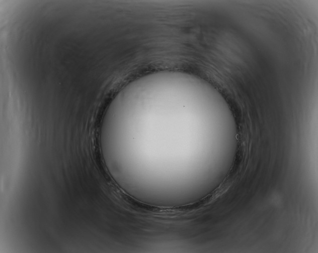 X0000086770758200704130836