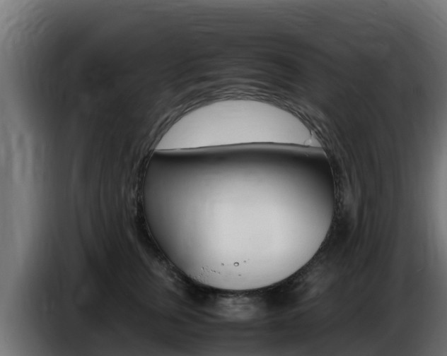 X0000086770759200704130836