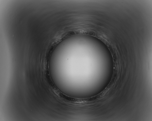 X0000086770760200704130836