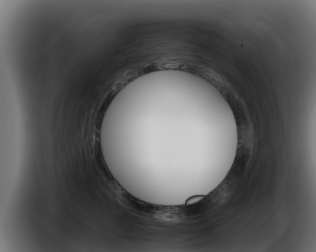X0000086770761200704130836