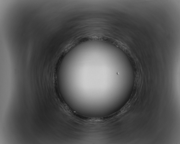 X0000086770762200704130836