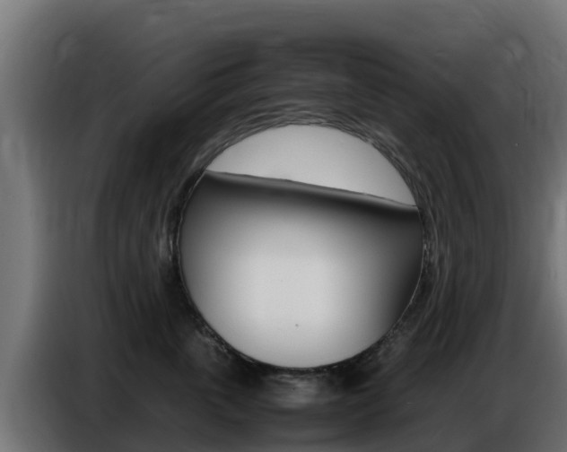 X0000086770763200704130836