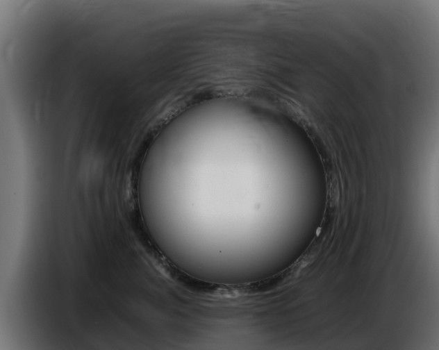 X0000086770764200704130836