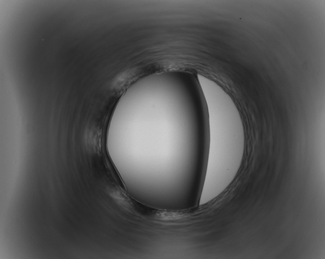 X0000086770766200704130836