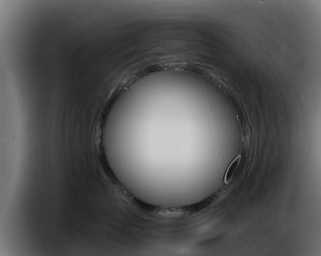 X0000086770767200704130836