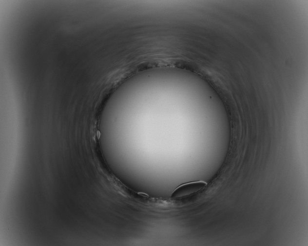 X0000086770768200704130836