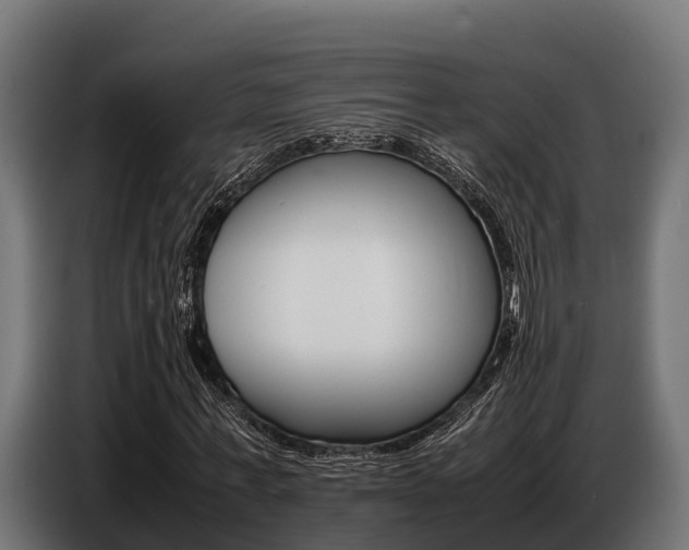 X0000086770771200704130835