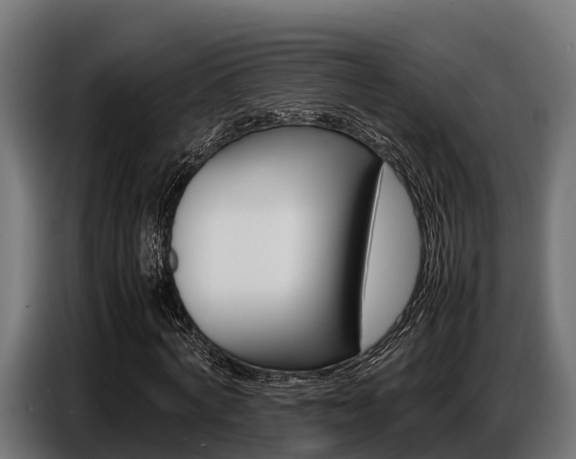 X0000086770772200704130835