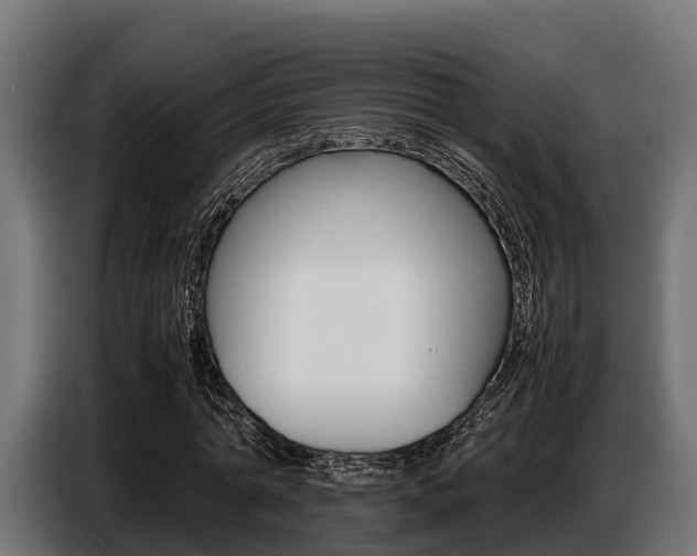 X0000086770774200704130835