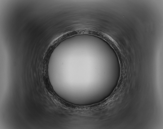 X0000086770775200704130835